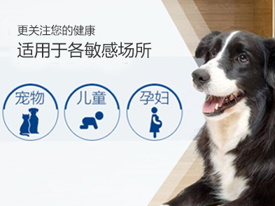 北京滅跳蚤公司，殺跳蚤公司哪家好