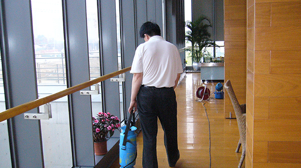 家庭其它蟲(chóng)害服務(wù)