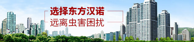選擇東方漢漢諾，遠(yuǎn)離蟲(chóng)害困擾